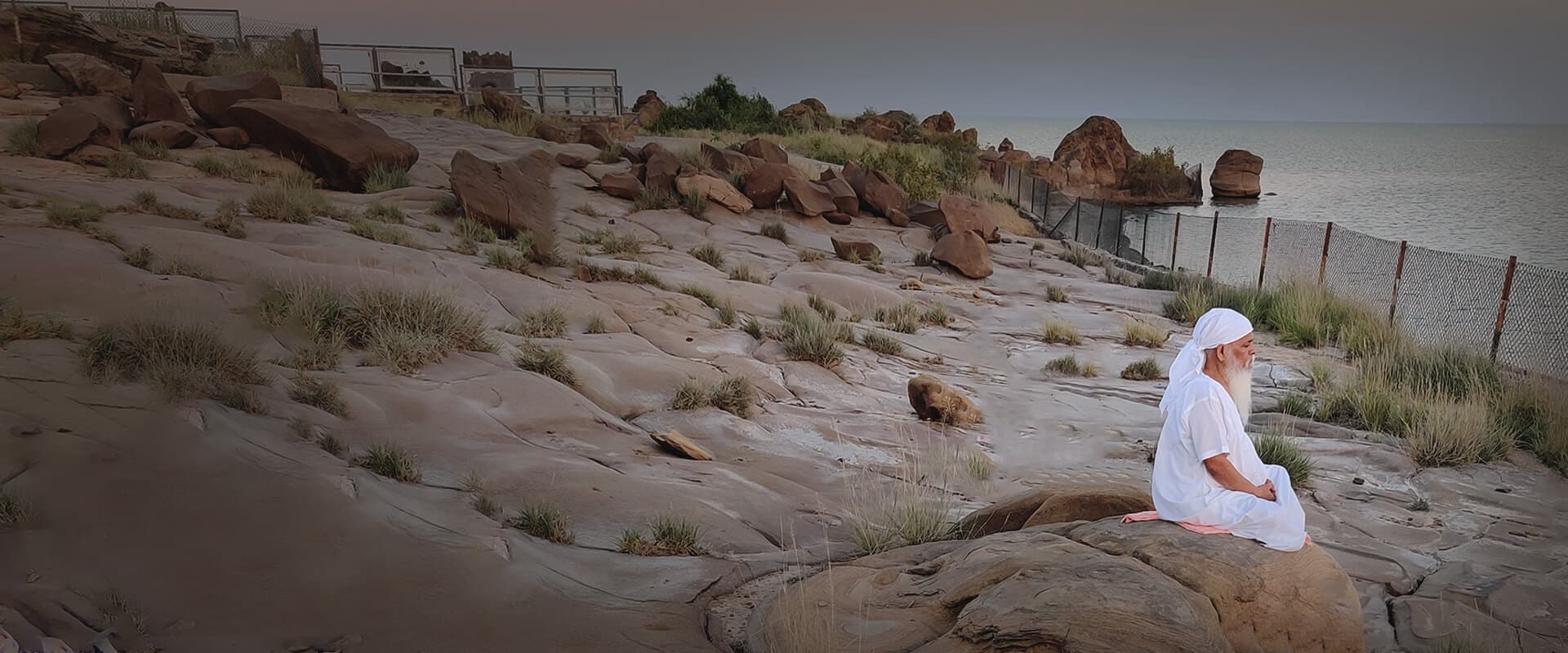 Donation Header